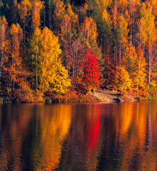 Fototapeta premium Silence at the forest lake at sunset, with reflection of forest on a water smooth surface, Russia, Mari El