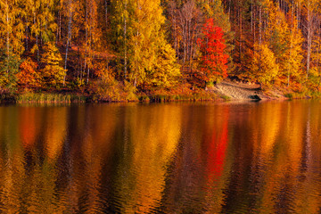 Silence at the forest lake at sunset, with reflection of forest on a water smooth surface, Russia, Mari El