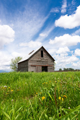 Old barn in the field © EJRodriquez