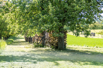 Brennholz lager im Freien © focus finder