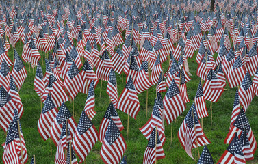 Hundreds of American Flags