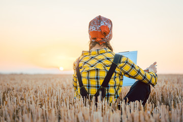 Bäuerin berechnet den Ertrag der Ernte am Abend eines langen Tages