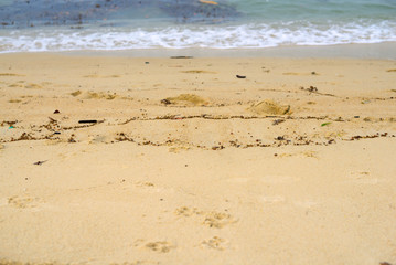 Soft wave of blue ocean on sandy beach. Background
