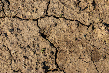 Texture of cracked dry ground for background