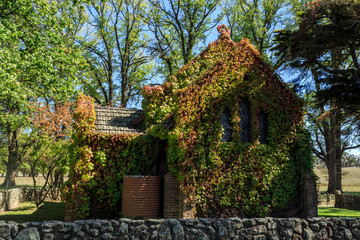 Gostwyck Chapel - All Saints Anglican Church