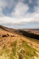 Above Dovestone Reservoir