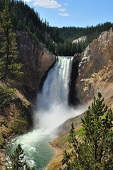 Fototapeta na wymiar Yellowstone falls