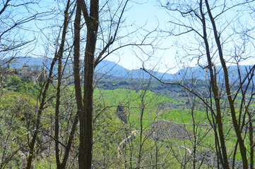 Between the trees in Ronda
