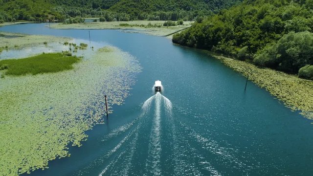 motor boat floats on a Crnojevica river framed by water lilies