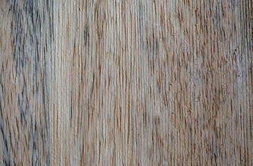 Macro photography of different textures of wood produced naturally by fungi marks, humidity, fire or by tools.