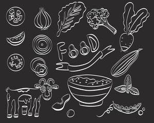 Healthy food set of icon. Vector illustration