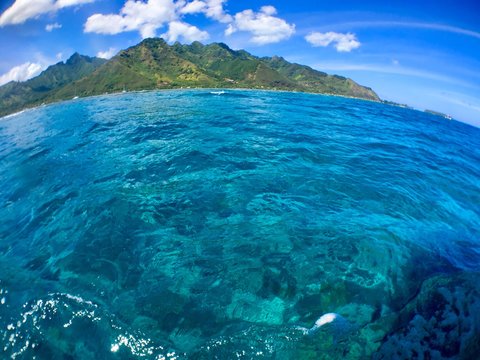 moorea