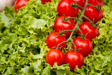 Juicy red cherry tomatoes lie on green lettuce leaves. Shiny polished tomatoes. 