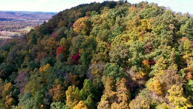drone view over some fall colors in Kentucky