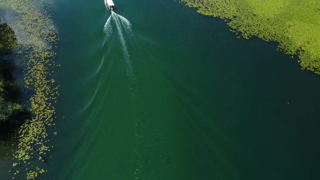 motor boat floats on a Crnojevica river framed by water lilies
