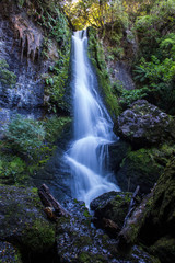 Waterfall in the forest, south island, New Zealand.