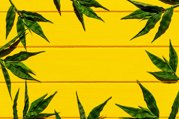 Fototapeta na wymiar Tropical green grasses on yellow wood background top view.