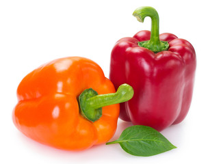 Fresh pepper on white background