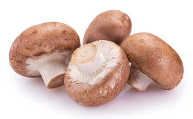 Fresh mushrooms on white background