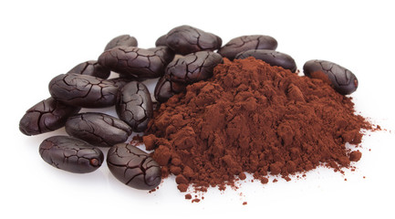 Cocoa bean with powder on white background
