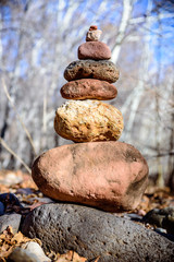 Balance and Wellness in the Forest