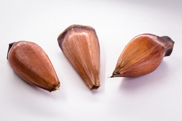 Brazilian pine in brown wooden rustic bowl. Typical araucaria tree seed used as a condiment in Brazilian cuisine in winter.