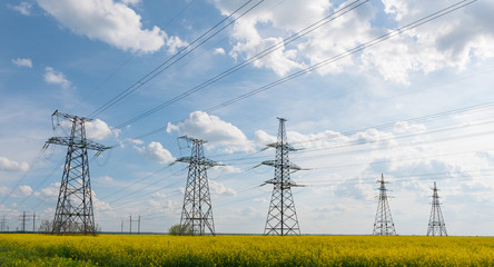 Power lines and high-voltage lines against the backdrop of blooming oilseed rape on a summer day.