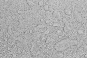 Water drops on ceramic tile