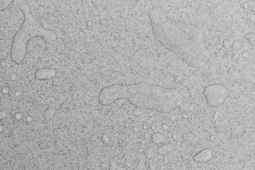 Water drops on ceramic tile