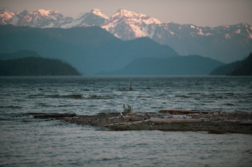 Harrison West looking south 2