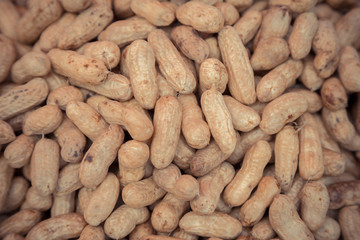 Many peanuts in shells
