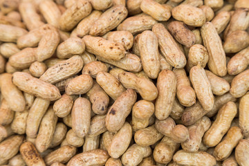 Many peanuts in shells