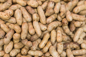 Many peanuts in shells