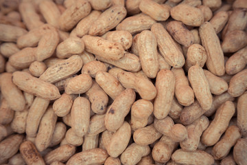Many peanuts in shells