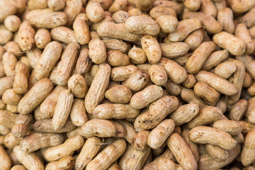 Many peanuts in shells