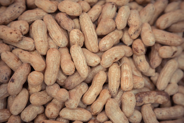 Many peanuts in shells