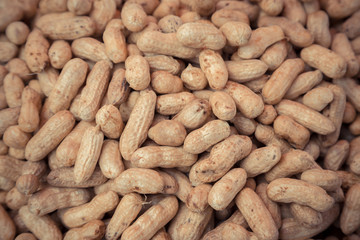 Many peanuts in shells