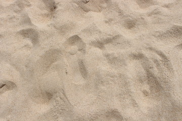 The sand on the sea beach.