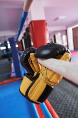 Kickboxing equipment in the gym