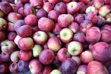  big pile of fresh red apples in the market. Top view. Flat lay.