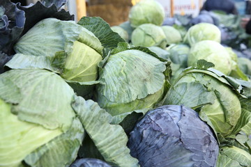 Fresh head cabbage in the market