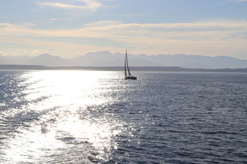 Fototapeta premium Sailing boat in the sea at sunset