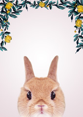 かわいいうさぎのグラフィックフレーム