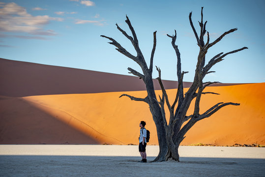 Asian man photographer and tourist standing with dead tree in deadvlei (Sossusvlei) during sunrise, famous natural landmark in Namib desert of Namibia, Africa