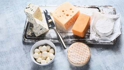 Different kinds of cheeses