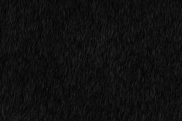 Abstract black animal hair texture background. Close up detail of artificial horse fur skin....