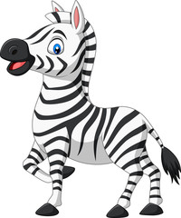 Plakat Cute baby zebra posing isolated on white background