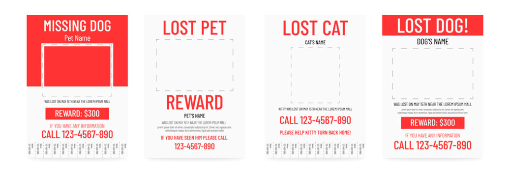 Lost Pet Poster Template. Missing Banner Design.