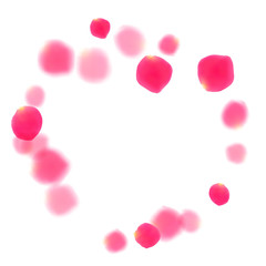 Pink rose petals falling valentine background.