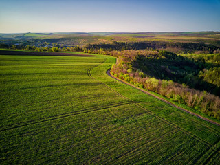 Sunset light over cultivating field in the spring